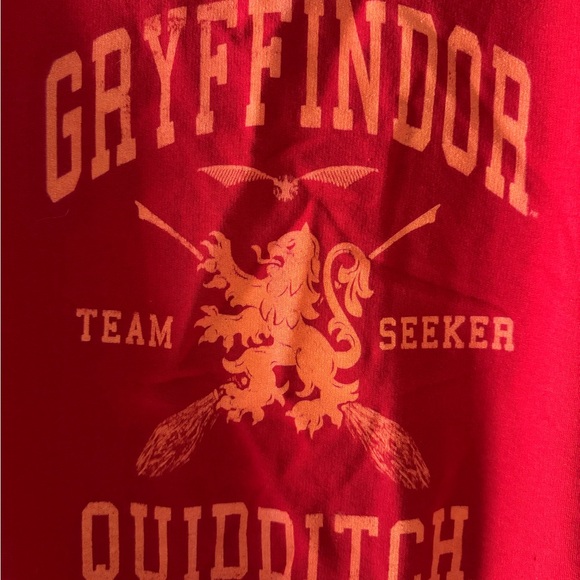 Harry Potter Gryffindor Quidditch Gold Team Seeker Sweatshirt - Red - Picture 2 of 3